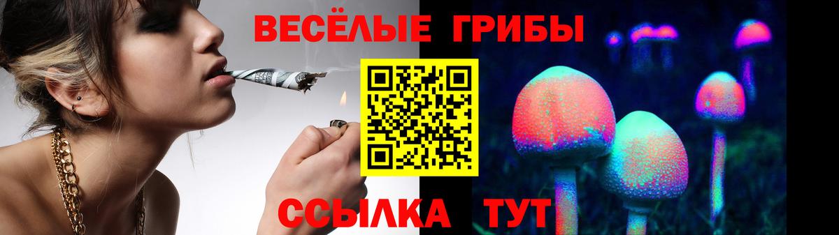 Галлюциногенные грибы мицелий Протвино